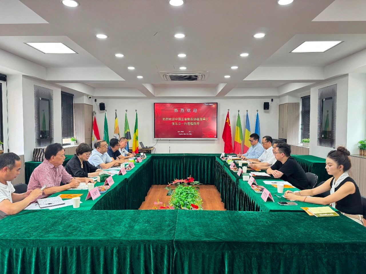 协会理事长张东立一行到访中非桥
